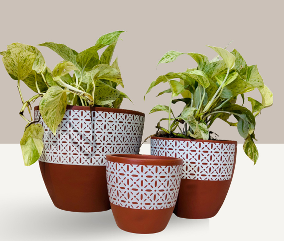 Decorative Pots